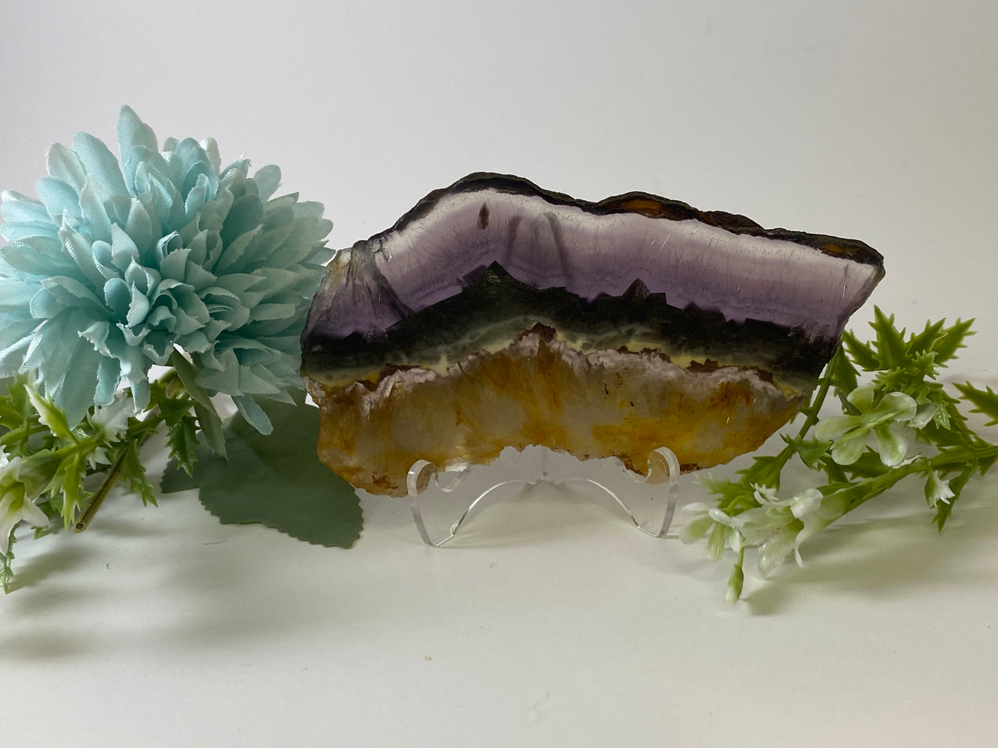 Rare Rainbow Fluorite with Pyrite Layer - Slab #FP006