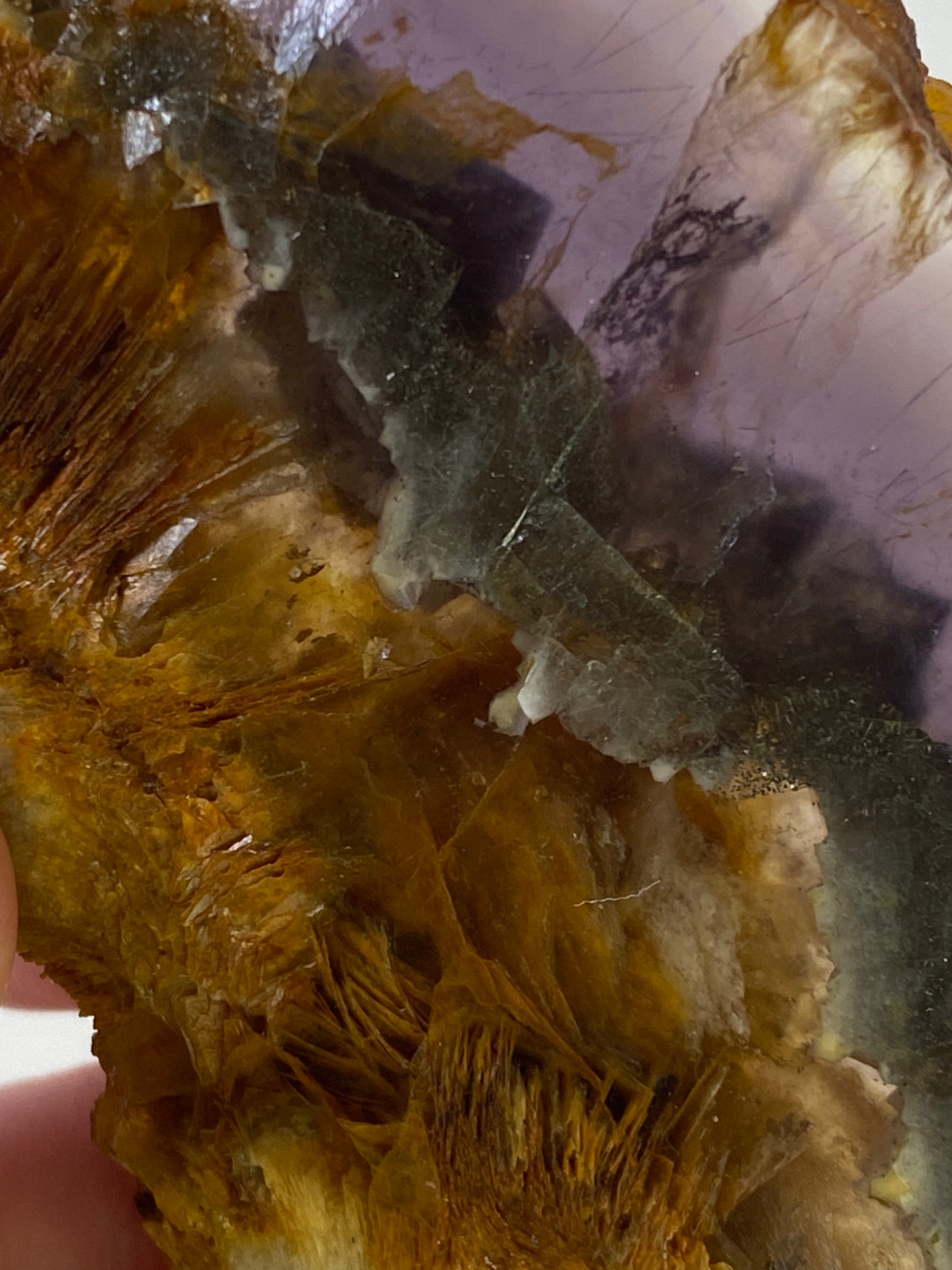 Rare Rainbow Fluorite with Pyrite Layer - Slab #FP008