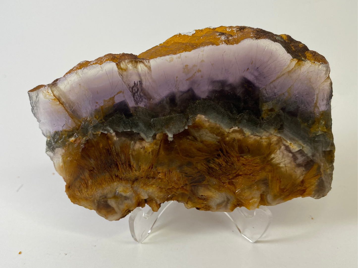 Rare Rainbow Fluorite with Pyrite Layer - Slab #FP008