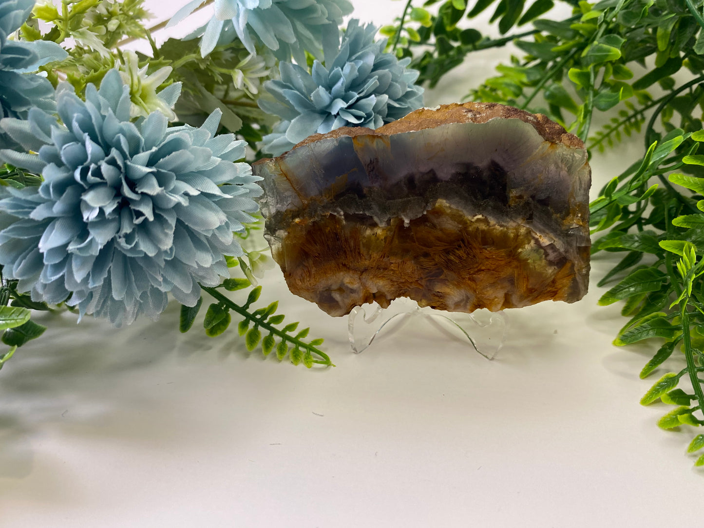 Rare Rainbow Fluorite with Pyrite Layer - Slab #FP008