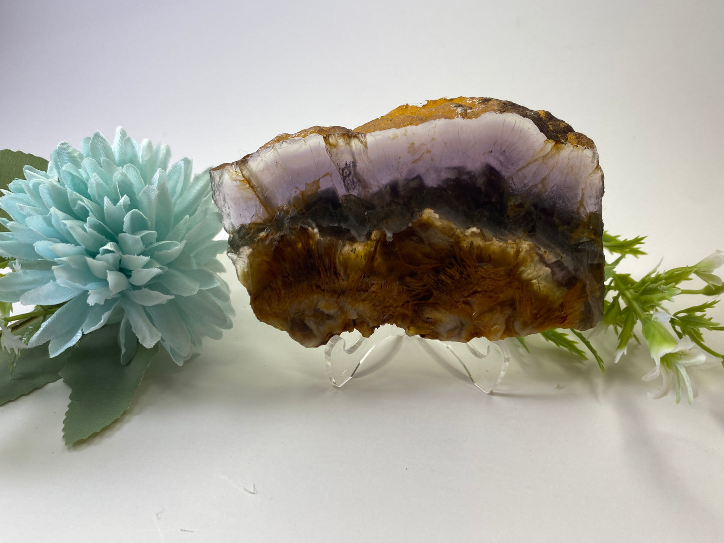Rare Rainbow Fluorite with Pyrite Layer - Slab #FP008